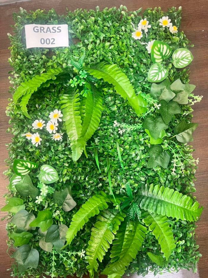 GRASS-002