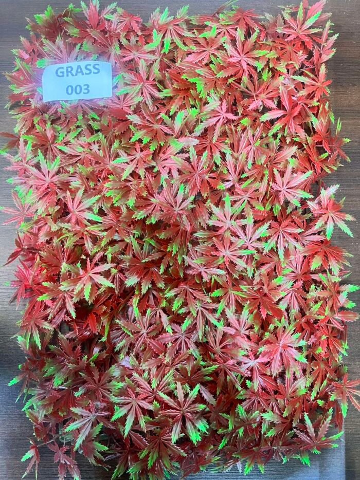 GRASS-003