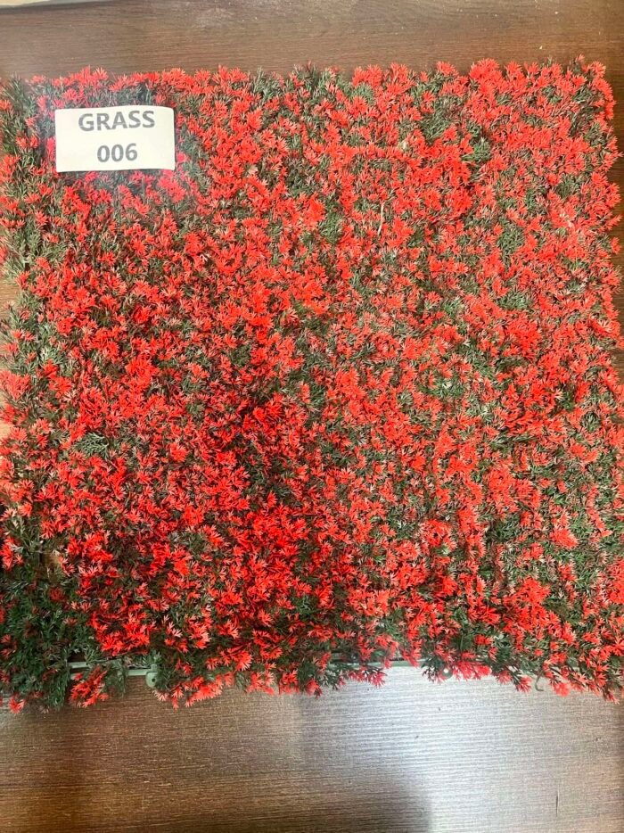 GRASS-006